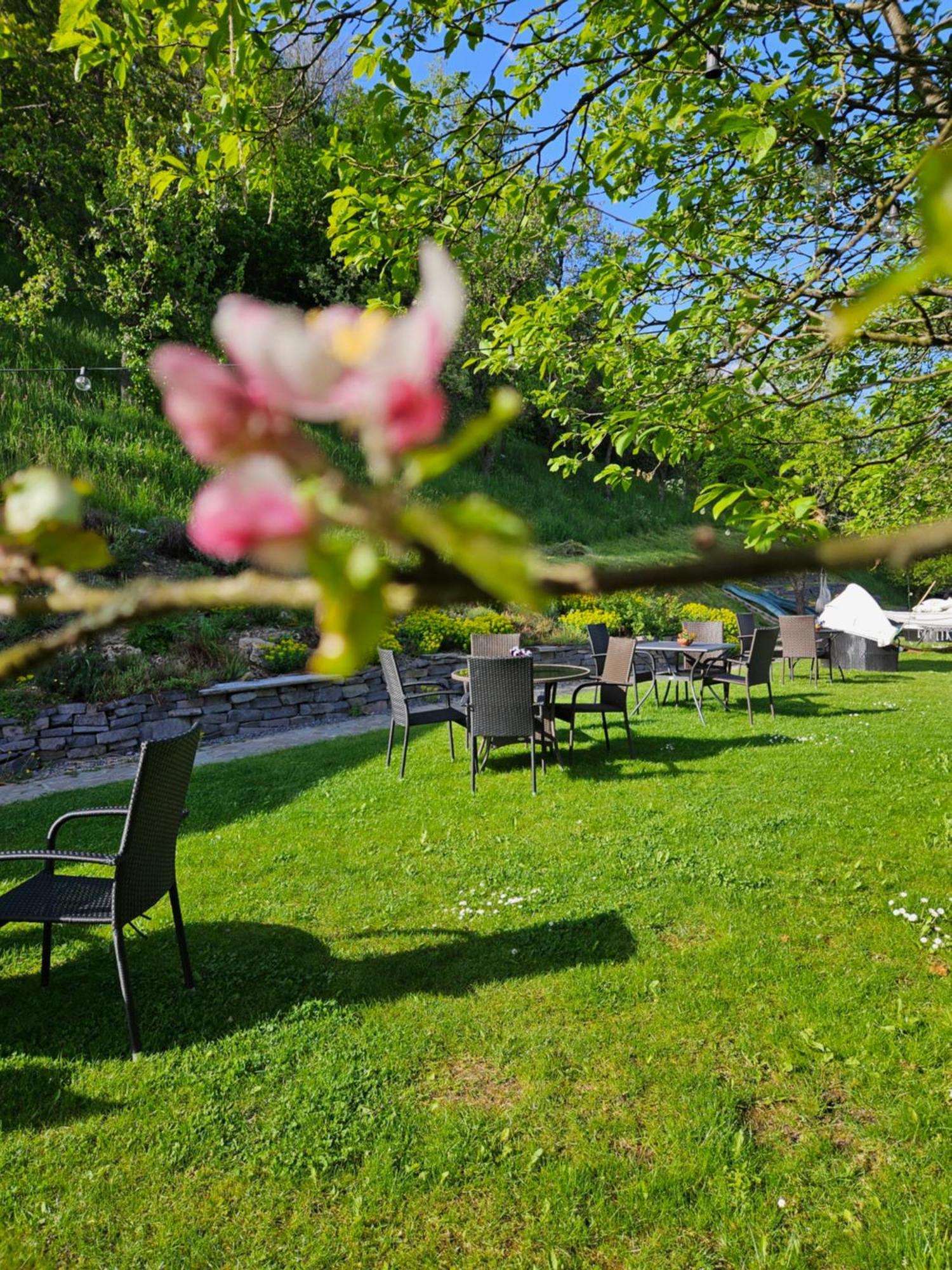 Aura Hotel Banska Stiavnica Bagian luar foto